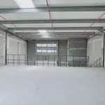 !! !! SHELL & CORE WAREHOUSE !! GOSHI WAREHOUSES CITY !! thumbnail 3